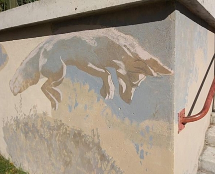 Академгородок украсило граффити с одомашненными лисицами