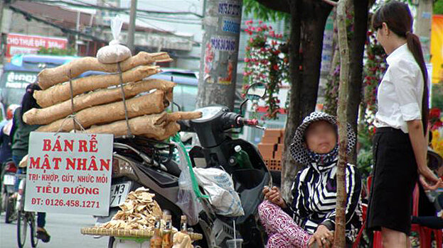 Во Вьетнаме растет количество отравлений от поддельной фитотерапии