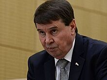 В Совфеде оценили договоренность России и Украины по транзиту газа