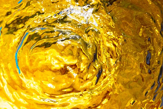 В России почти на 13% снизилось производство подсолнечного масла