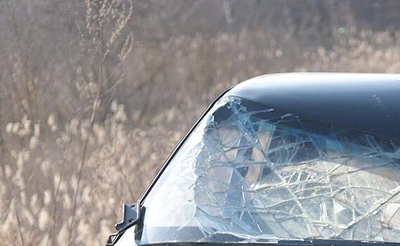 В Белгородской области во время атаки дрона-камикадзе пострадали 5 человек