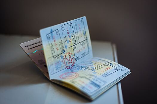 Жителям каких стран необходима виза в Россию