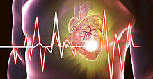 Ученые рассказали, как укрепить сердце и сосуды