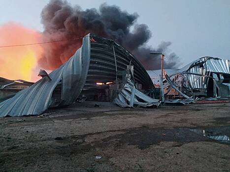 ВС России повредили зернохранилища в Одесской области