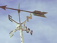 В Ростове ожидается усиление ветра