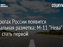 На дорогах России появится музыкальная разметка: М-11 "Нева" может стать первой