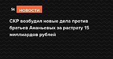 СКР возбудил новые дела против братьев Ананьевых за растрату 15 миллиардов рублей