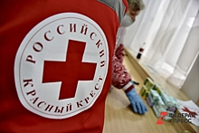 Чувашский «Красный крест» может стать банкротом из-за многомиллионного долга