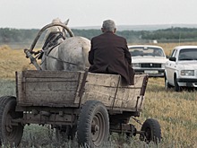 «Мобильные бригады» расскажут жителям Хабаровского края о «дальневосточном гектаре»