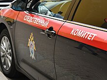 Бастрыкин поручил возбудить дело на осквернившего памятник Воинам Освободителям в Судже гражданина Литвы