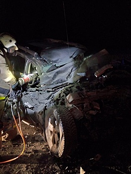 В аварии в Курской области погибла женщина