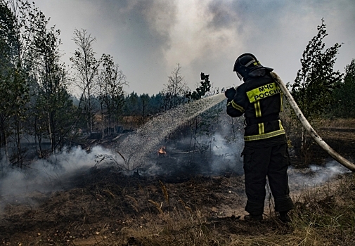 Травяные пожары в Амурской области назвали угрозой для жителей