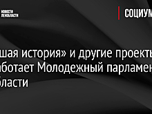 «Большая история» и другие проекты: как работает Молодежный парламент в Ленобласти
