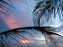 Новогодняя ночь под пальмой подешевела: хозяева отелей раскрыли причину