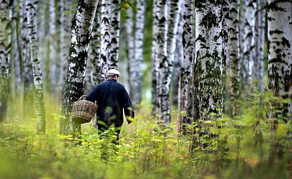 Заблудившийся и проведший четыре дня в лесу россиянин рассказал о спасших его навыках
