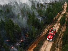 В первый день недели площадь лесных пожаров в Рязанской области превысила 105 гектаров