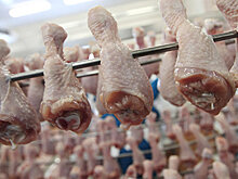Россельхознадзор вернул в Турцию 108 тонн куриного мяса