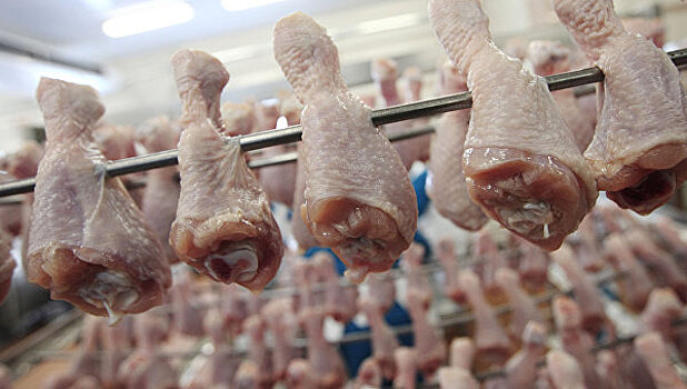 Россельхознадзор вернул в Турцию 108 тонн куриного мяса