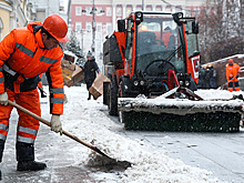 В ОНФ предложили решение проблемы нехватки дворников в Москве