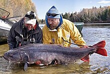 Один из богатейших людей России поставил мировой рекорд по рыбной ловле