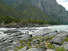 Участники ОПГ осуждены за махинации с землей в Горном Алтае