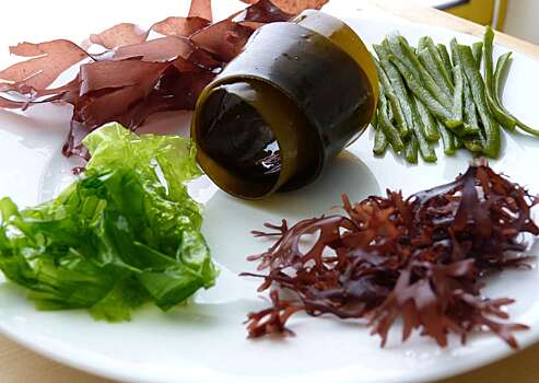 Водоросли: чем полезны и как правильно употреблять — советы нутрициолога