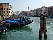 В Венеции в каналах появились дельфины