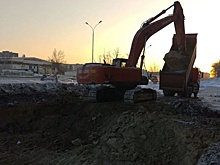 Тяжелая техника атаковала лесопарк на юго-западе Екатеринбурга