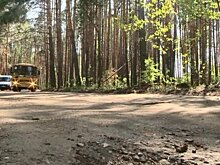 Дорогу к детским лагерям на Светлой Поляне отремонтируют к октябрю