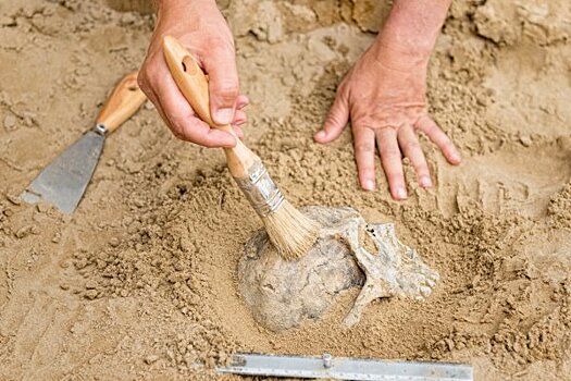 Китайские археологи нашли стоянку палеолита