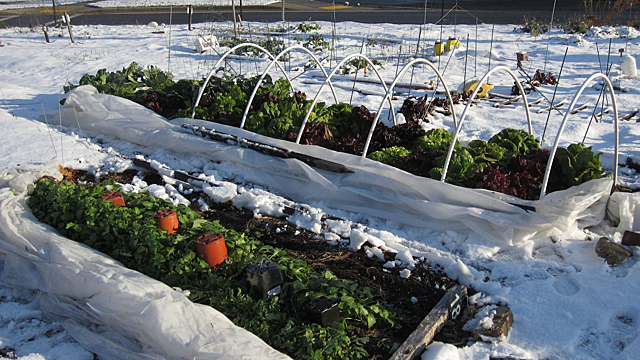 Что нужно сделать 21 февраля для хорошего урожая