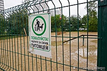 В парках Екатеринбурга отремонтируют площадки для выгула собак