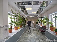 Застройщик Академического поможет в создании Дома ученых