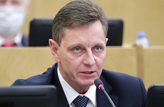 Депутат Сипягин предложил продвигать российское образование в Африке