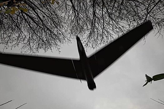 Дроны начинают и выигрывают: эксперт объяснил планы США построить миллион беспилотников