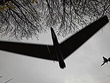 Дроны начинают и выигрывают: эксперт объяснил планы США построить миллион беспилотников