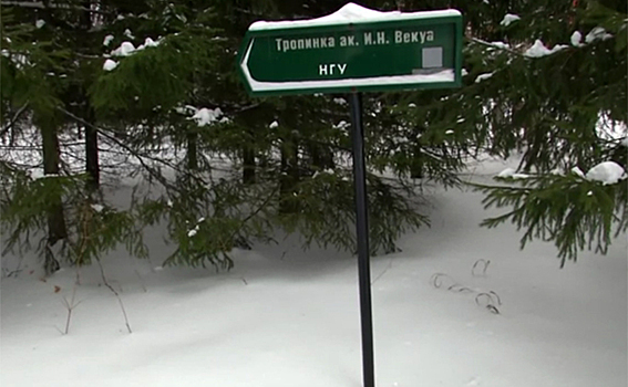 Тропинки в лесу Академгородка названы в честь ректоров НГУ
