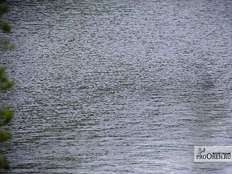 Уровень воды в реке Урал у Орска за сутки увеличился на 1 см