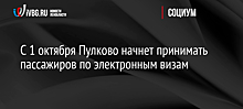 Аэропорт Петербурга завершил подготовку оборудования для приема электронных виз