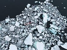 Освоение Арктики и будущее Северного морского пути