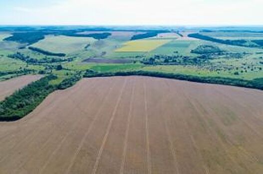 3,5 тысяч га заброшенных земель в Курской области вернули в сельхозоборот