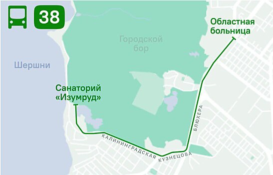 В Челябинске запускают летний автобусный маршрут от областной больницы до санатория «Изумруд»