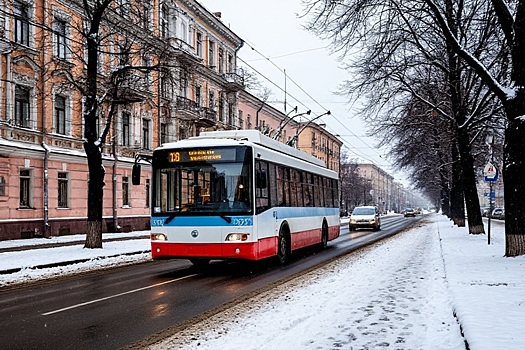 Новосибирск делает ставку на пенсионеров, чтобы заместить уволенных водителей троллейбусов