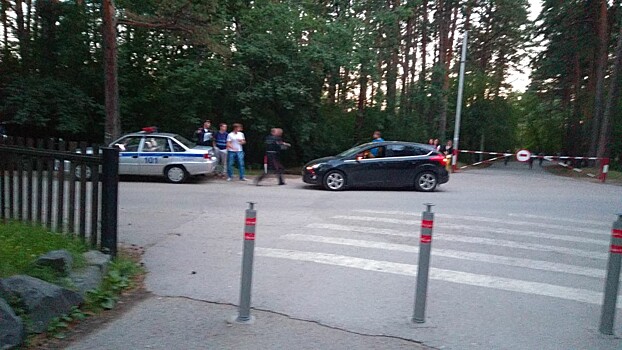 Докатился: Ford сбил в Заельцовском парке мужчину на роликах