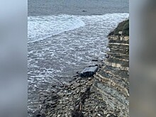 Перевернувшая лодка стала уголовным делом в Геленджике. Погиб пенсионер