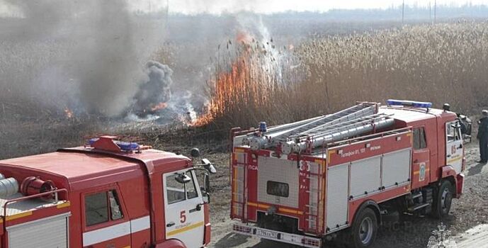 За сутки на Дону проведено 50 контролируемых выжиганий сухой растительности