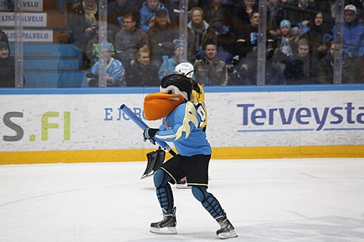 Финские "Пеликаны" дадут толчок развитию эстонскому хоккею