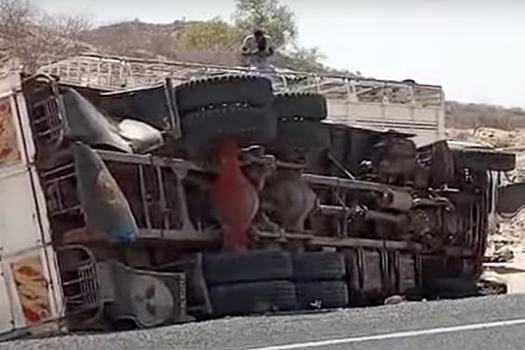 В Кении водитель устроил ДТП с 14 погибшими, пытаясь объехать верблюда