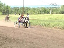 В Самарской области прошел масштабный конно-спортивный фестиваль