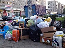 2 тонны вторсырья сдали жители Вологды, чтобы поддержать бездомных животных